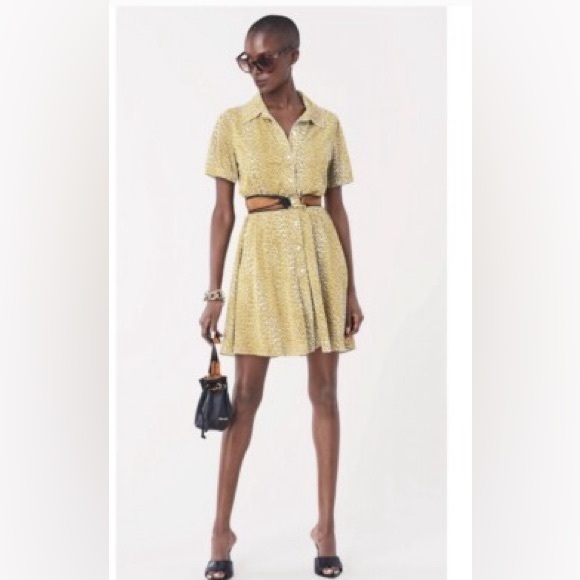 Diane Von Furstenberg Dresses & Skirts - Diane Von Furstenberg Green/Yellow Leopard Print Dress